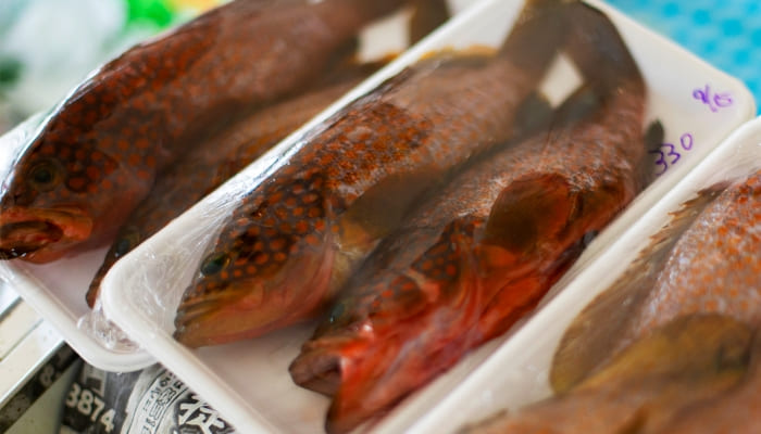 佐渡島内のスーパーは宝の山