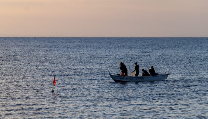 生産者や漁港巡りで食材集めも楽しい