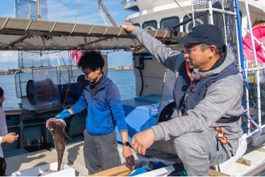 食と自然のアクティビティ