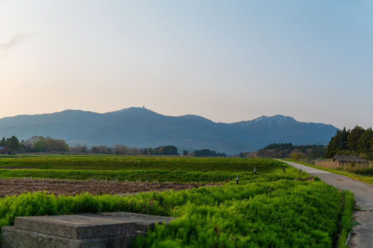 スライダー画像