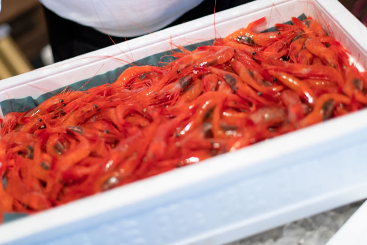 スライダー画像