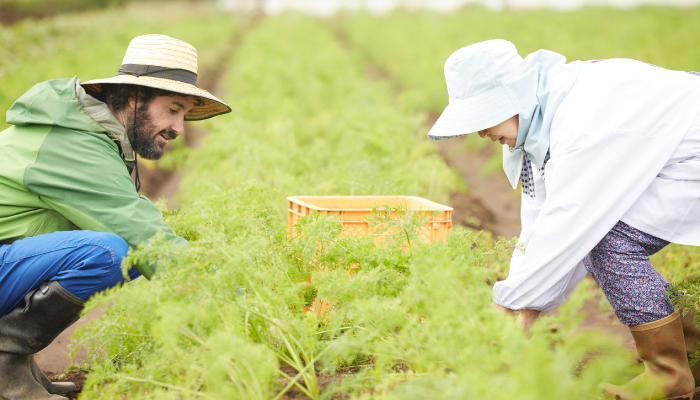 ゲストハウスUZU佐渡で農業体験