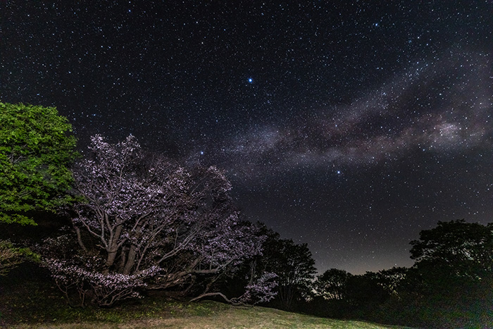 満点の星空の下でサウナを愉しもう