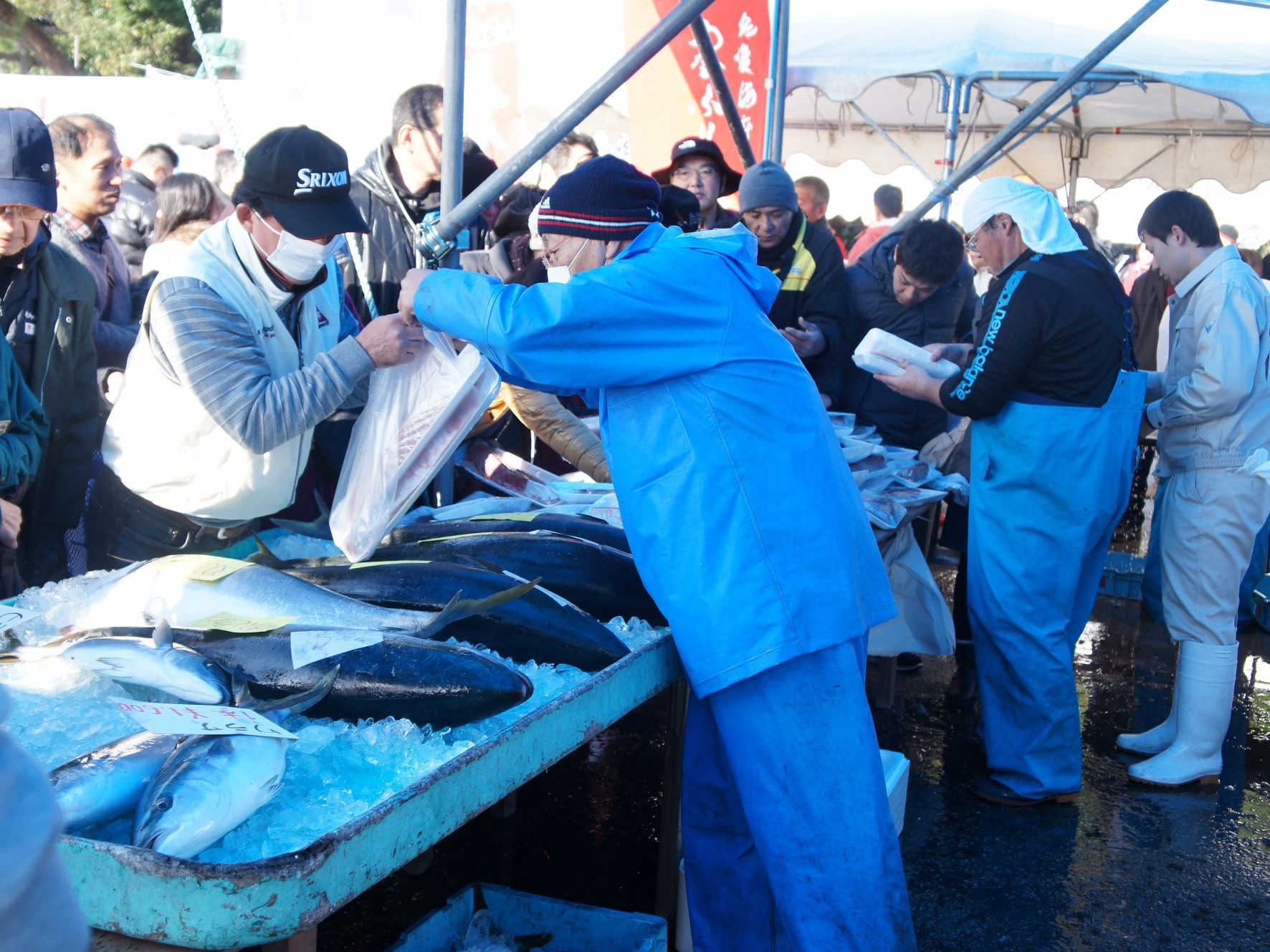 「寒ぶりまつり」と「大崎そばの会」で佐渡の冬グルメを満喫